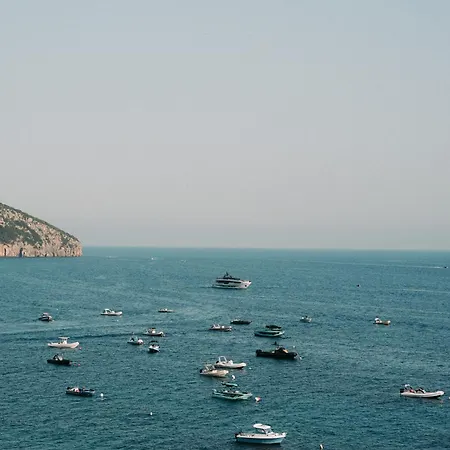 Vasi فندق